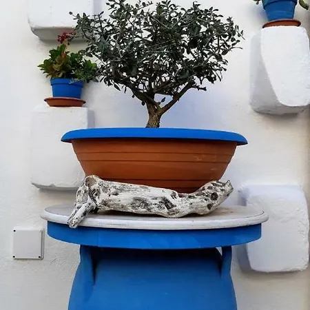 Antiche Stelle Salento לינה וארוחת בוקר 4*